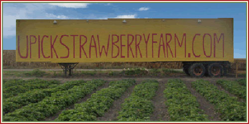 Wisconsin Berry Growers Associations Vegetable Growers